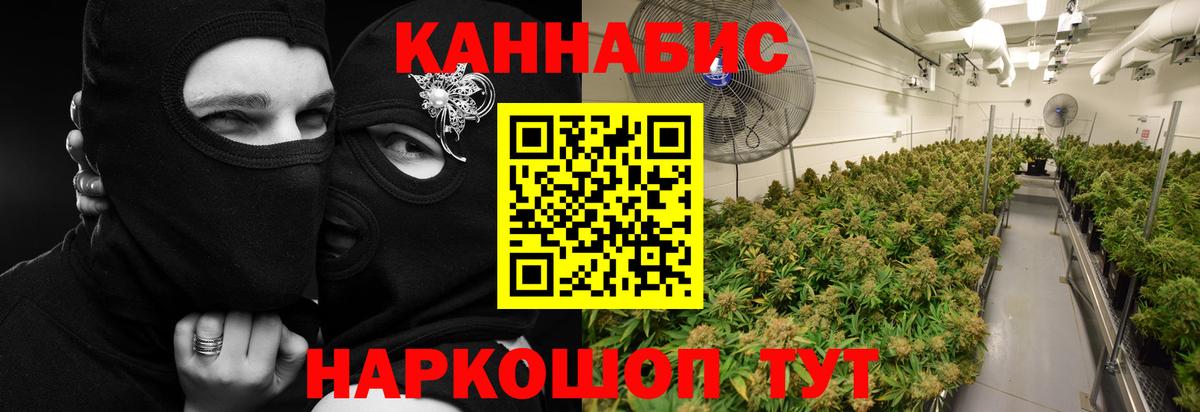 Бошки марихуана сатива Кирово-Чепецк